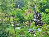 Hügelbeet begehbar